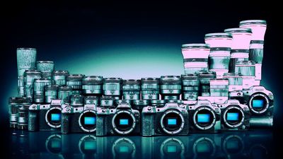 Canon comes top again – and has now dominated the interchangeable lens camera market for 23 years in a row!