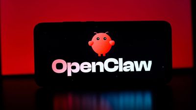 AI tool OpenClaw wipes the inbox of Meta's AI Alignment director despite repeated commands to stop — executive had to manually terminate the AI to stop the bot from continuing to erase data