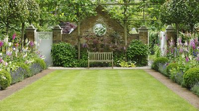 Fix These 4 Signs of Winter Lawn Damage Now – or Risk Patchy Grass All Season