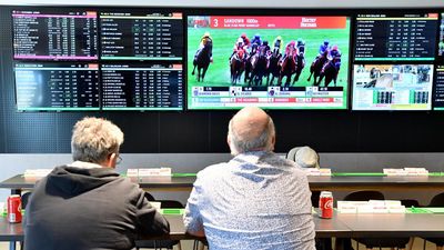 Punters take some skin off but gambling giant wagers on