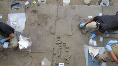 14,000-year-old ivory tools found in Alaska hint at how Clovis ancestors first arrived in the New World