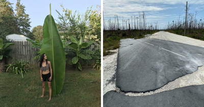 69 Nature Pics That Are As Interesting As They Are Beautiful