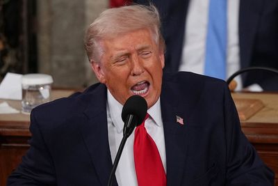 ‘Didn’t mention Epstein once’: Americans react to Trump’s record-breaking ‘nearly two hours of lies’ State of the Union
