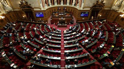 French Senate backs New Caledonia reform, but consensus remains elusive