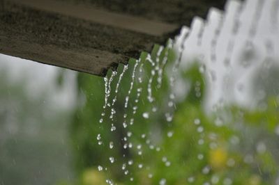 Homeowners in These 3 States Need To Know The Rules About Collecting Rainwater