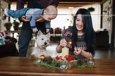 How Animals Recognize Holidays And Festivals Without A Calendar