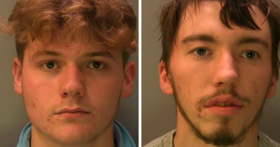 “Karma”: Two Students Who Blew Up Sheep With Fireworks After Violent Attack Learn Their Fate