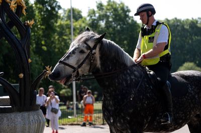 Met Police to slash mounted unit in cost-cutting measure