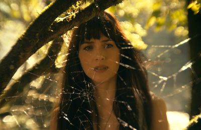 Spider-Man wider universe getting 'fresh reboot'