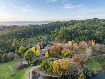 Why the Adelaide Hills should be on your Australia bucket list