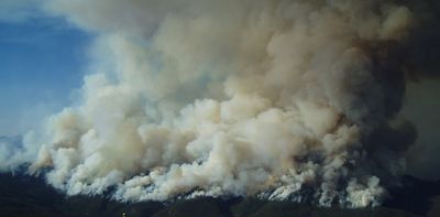 How protecting wilderness could mean purposefully tending it, not just leaving it alone