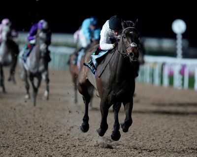 Constitution Hill out of Champion Hurdle and ready for next chapter on the Flat