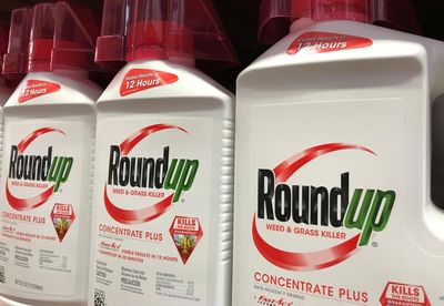 Lawyers for US cancer sufferers challenge Bayer’s $7.25bn Roundup settlement deal