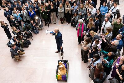 Capitol Lens | Pausing for paws