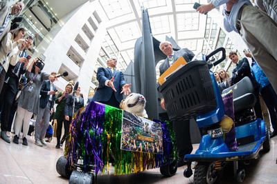 Beads, bones and bipartisanship: Tillis’ last pawrade 