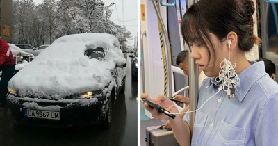 57 People Who Are So Lazy They Might Make You Feel Better About Taking A Day Off