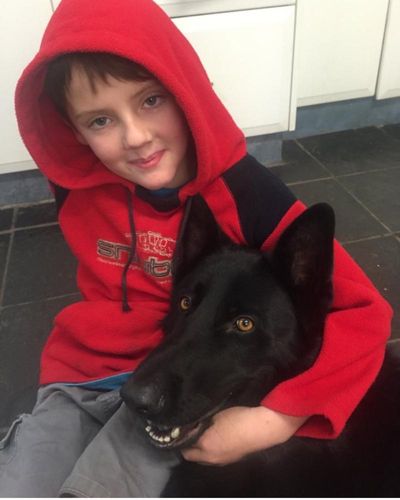 Australian teen first person in world known to have died of meat allergy triggered by tick bite