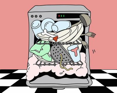 You be the judge: should my girlfriend change the way she loads the dishwasher?