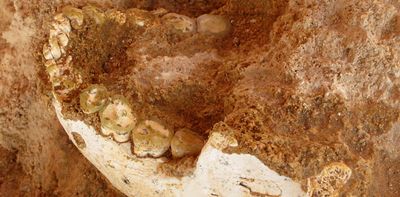 Morocco: ancient fossils shed light on a key period in human evolution