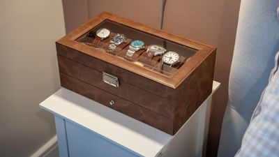 This budget watch box made me fall back in love with my collection