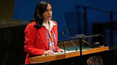 'No country will ever have a pass': Anita Anand on whether Indian gangs are behind extortion threats in Canada