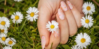 The wonders of daisies: the buffet we walk on