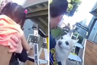 Officers catch child and dog thrown from burning building by desperate mother