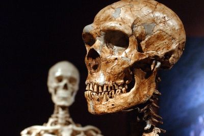 Neanderthal DNA study reveals surprising partner preference