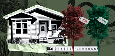 One street tree can boost Sydney house prices by $30,000 – or cost $70,000 if it’s too close: new study