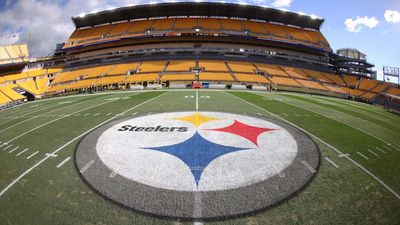 The Steelers Did Not Do So Hot in the Latest NFLPA Survey: Report