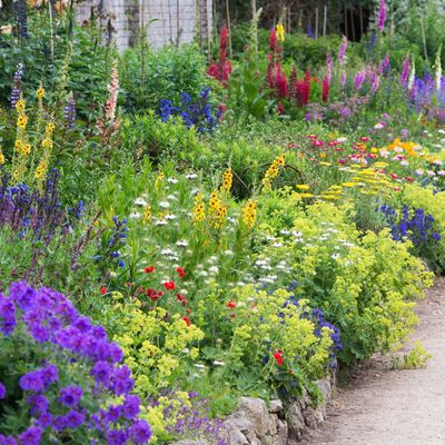 Your birth month has a specific flower – this is the meaning behind yours, and the best varieties to add to your garden