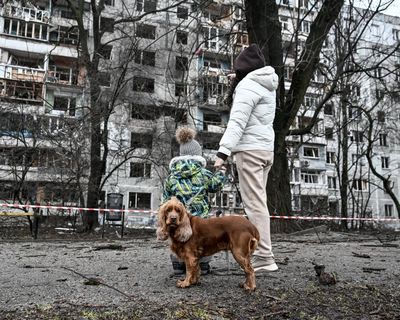 Ukraine war briefing: IMF approves $8.1bn loan for Kyiv