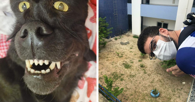 67 Photos That Might Make You Look Twice (New Pics)