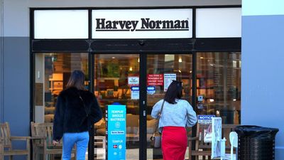Harvey Norman shares tumble despite big profit growth