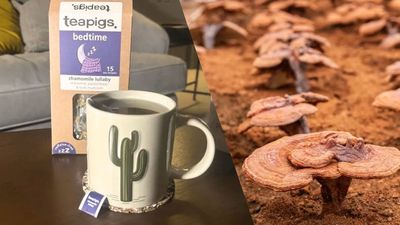 "Sleep-promoting" reishi mushroom tea is everywhere — this is what happened when I tried it