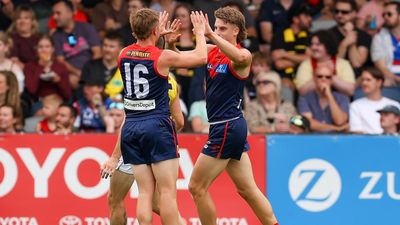 Pickett, Windsor strike for Dees before clash abandoned