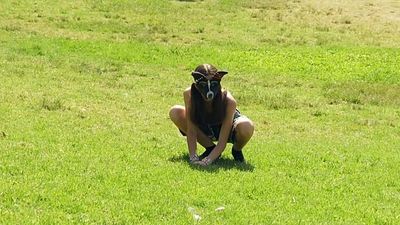 Therian trend: Masked youth identifying as animals gather in Buenos Aires