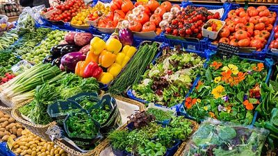 Vegetarian diets linked to lower risks of several cancers, largest study finds