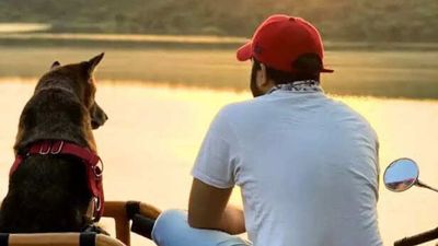 How expensive is it to raise a dog in India in 2026?