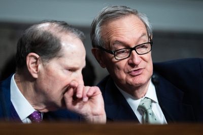Bipartisan Senate bill promises 'commonsense fixes' to IRS