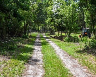 ‘The way we love them in life is the way we love them in death’: a Gullah Geechee community fights for their cemetery