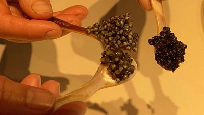 From Europe with taste: ‘World’s first organic caviar’ savours new markets