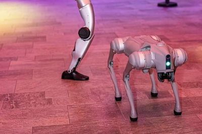 MSC Cruises reveals 2026 entertainment lineup including robot dogs