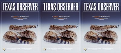 Editor’s Letter: Introducing Our March/April 2026 Issue