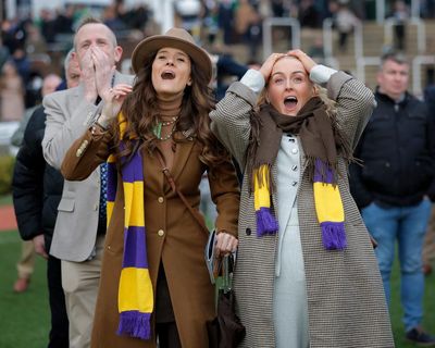 Cheltenham hopeful of ticket-sale turnaround for festival after three years of decline
