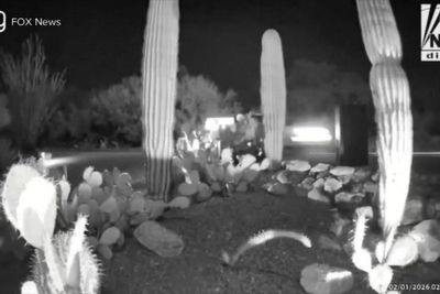 Mysterious car pictured near Nancy Guthrie’s home not being investigated