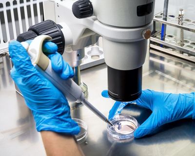 The Guardian view on Trump’s war on science: Europe should pick up talent fleeing the US