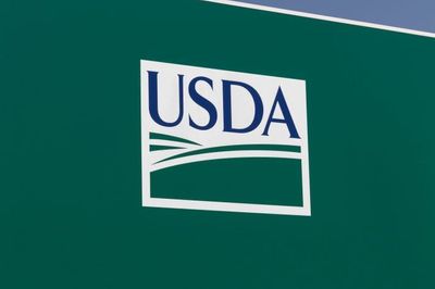New 2026 Income Limits Could Let More Seniors Qualify for the Monthly USDA Food Box Program