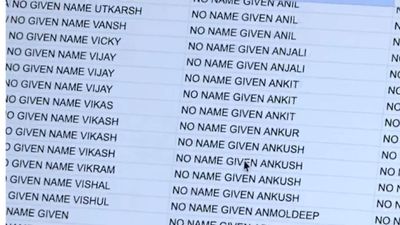 ‘Specific to Punjabi population’: MAGA activist claims thousands of US trucking companies operate under ‘No Name Given’