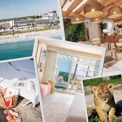 Easy Escapes: Why Florida’s Palm Beaches Are the Ultimate Luxury Family Destination